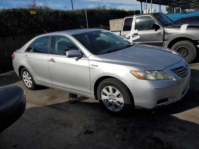 2009 Toyota Camry Hybrid