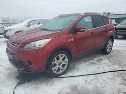 Ford Escape Vehiculos salvage en venta: 2014 Ford Escape Titanium