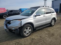 Salvage cars for sale at Windsor, NJ auction: 2010 Honda CR-V EXL