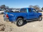 2005 Toyota Tacoma Prerunner Access Cab