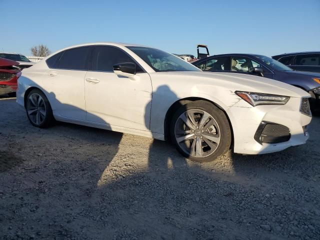 2022 Acura TLX Advance