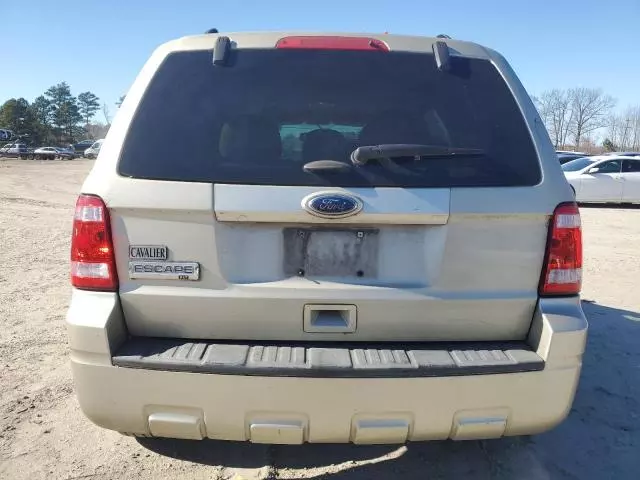 2011 Ford Escape XLT