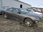 2013 Dodge Charger SE