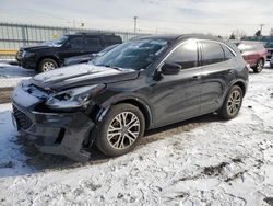 Salvage cars for sale at Dyer, IN auction: 2020 Ford Escape SEL