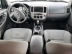 2006 Ford Escape XLT