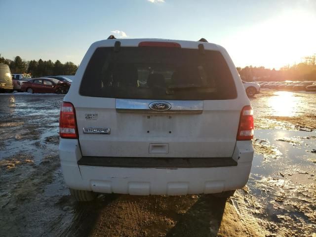 2010 Ford Escape Limited