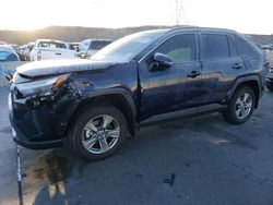 Salvage cars for sale at Littleton, CO auction: 2024 Toyota Rav4 XLE