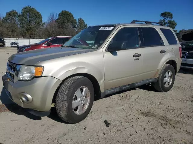 2011 Ford Escape XLT