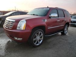 Cadillac salvage cars for sale: 2008 Cadillac Escalade Luxury