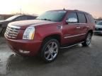 2008 Cadillac Escalade Luxury