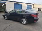 2014 Lexus ES 300H