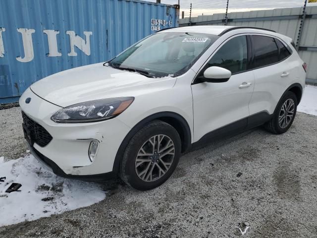 2021 Ford Escape SEL