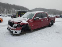 Salvage cars for sale at Ellwood City, PA auction: 2013 Ford F150 Supercrew