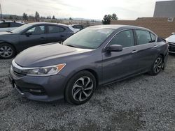 Salvage cars for sale at auction: 2016 Honda Accord EX