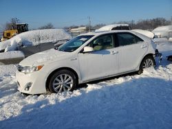 Vehiculos salvage en venta de Copart Louisville, KY: 2014 Toyota Camry Hybrid