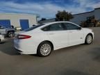 2016 Ford Fusion SE Phev