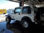 1995 Jeep Wrangler / YJ SE