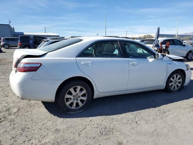 2009 Toyota Camry Hybrid