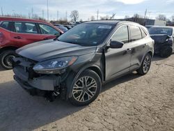 2020 Ford Escape SEL en venta en Bridgeton, MO