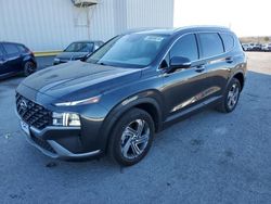 2023 Hyundai Santa FE SEL en venta en Tucson, AZ