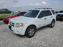 Salvage cars for sale at Taylor, TX auction: 2011 Ford Escape Hybrid