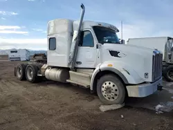 Salvage trucks for sale at Brighton, CO auction: 2024 Peterbilt 567