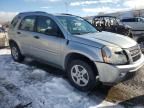 2006 Chevrolet Equinox LS