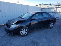 Toyota Corolla salvage cars for sale: 2010 Toyota Corolla Base