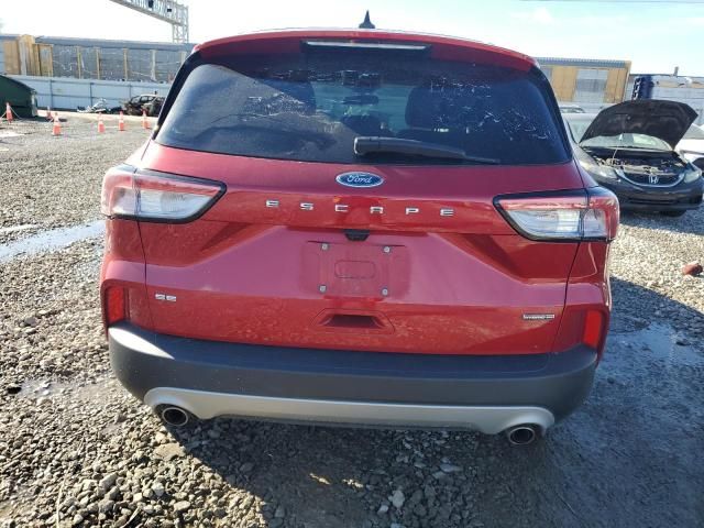 2020 Ford Escape SE Sport