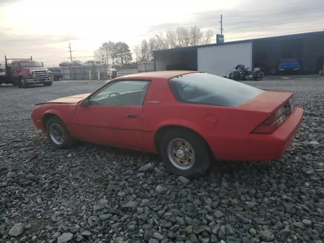 1982 Chevrolet Camaro Berlinetta