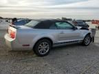 2005 Ford Mustang