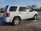 2010 Ford Escape Hybrid