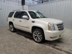 2014 Cadillac Escalade Platinum