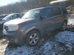 Salvage cars for sale at Baltimore, MD auction: 2014 Honda Pilot EXL