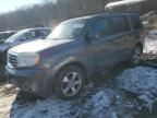 2014 Honda Pilot EXL