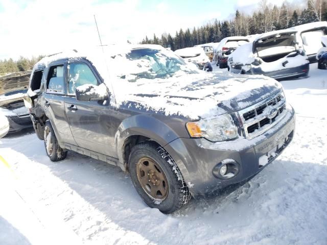 2012 Ford Escape XLT