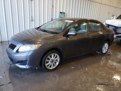 Run And Drives Cars for sale at auction: 2009 Toyota Corolla Base