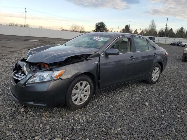 2007 Toyota Camry Hybrid