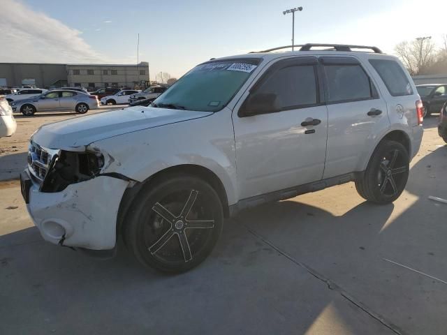 2010 Ford Escape XLT