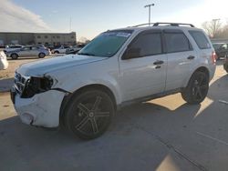 Salvage cars for sale at auction: 2010 Ford Escape XLT