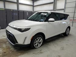 Salvage cars for sale from Copart New Braunfels, TX: 2025 KIA Soul LX