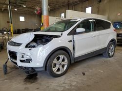 Salvage cars for sale from Copart Blaine, MN: 2016 Ford Escape SE