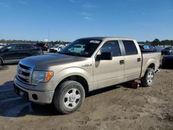 Salvage cars for sale at Houston, TX auction: 2014 Ford F150 Supercrew