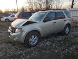 2010 Ford Escape XLT en venta en Windsor, NJ