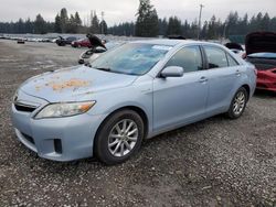 Toyota Camry Hybrid salvage cars for sale: 2010 Toyota Camry Hybrid