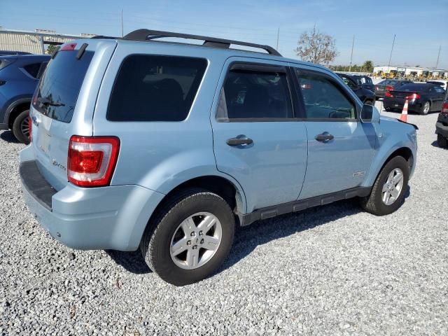 2008 Ford Escape HEV