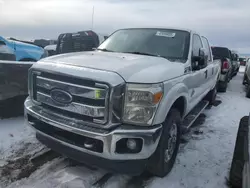 Salvage trucks for sale at Brighton, CO auction: 2014 Ford F250 Super Duty