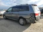 2010 Honda Odyssey EXL