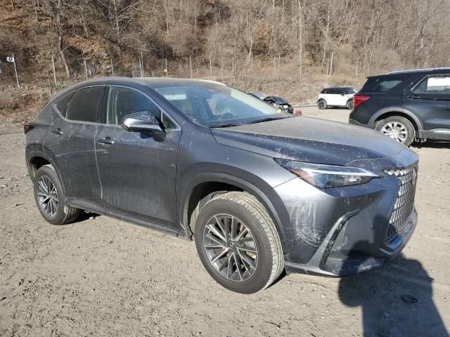 2023 Lexus NX 350