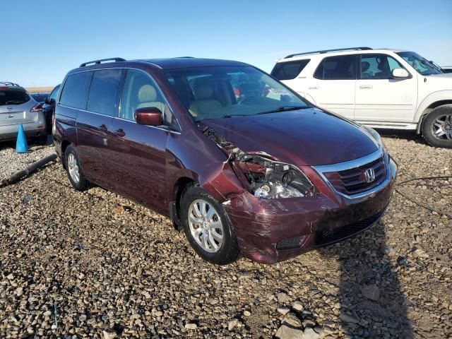 2010 Honda Odyssey EX